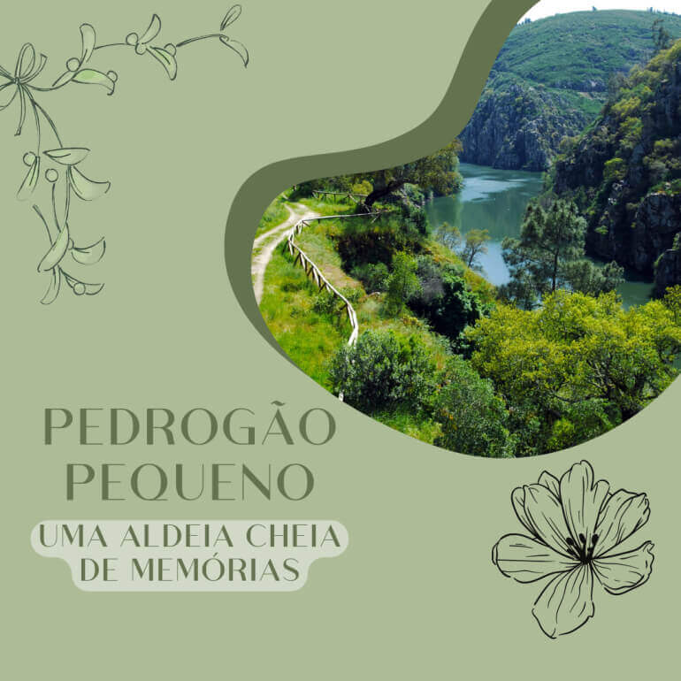 Pedrogao Pequeno