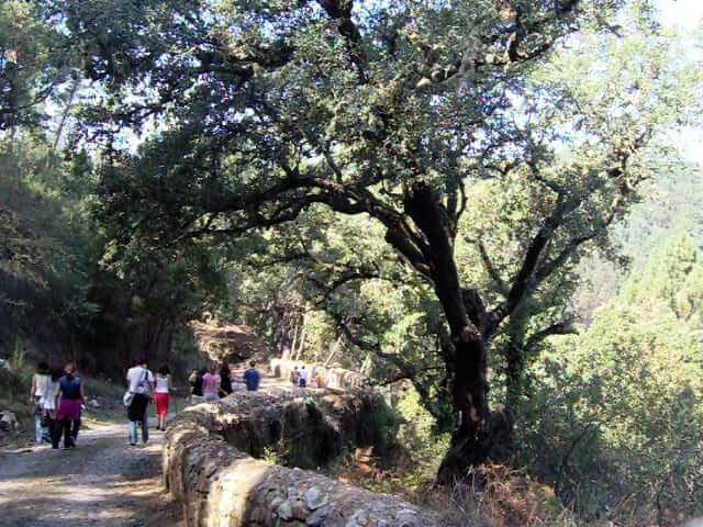 Passeios Pedestres